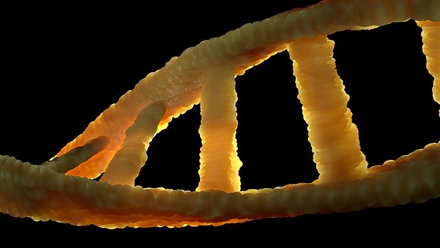 łańcuch DNA czyli komplet informacji o nas